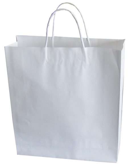 Firma Baskılı Büküm Saplı Kağıt Poşet