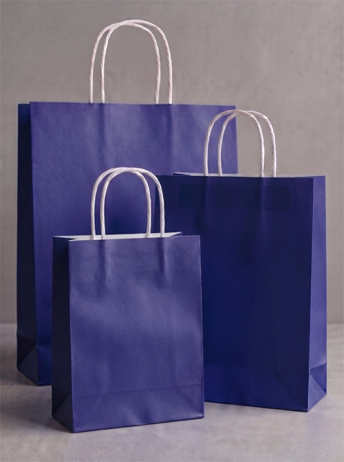Büküm saplı lacivert renk kraft poşet 18x24x8 2