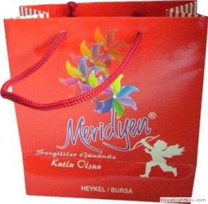 meridyen karton çanta Bursa 1