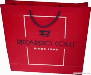 karton çanta İstanbul ricardo 1