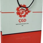 Dikey Karton Çanta » Ambalaj Bursa - Şeyma Ambalaj Dikey Karton Çanta 8