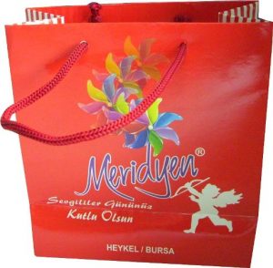 meridyen bursa karton çanta 1