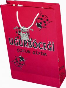 uğurböcegi karton çanta 1