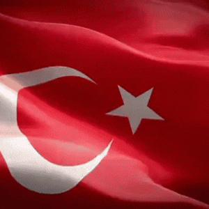 cropped-bayrak-3.gif 1